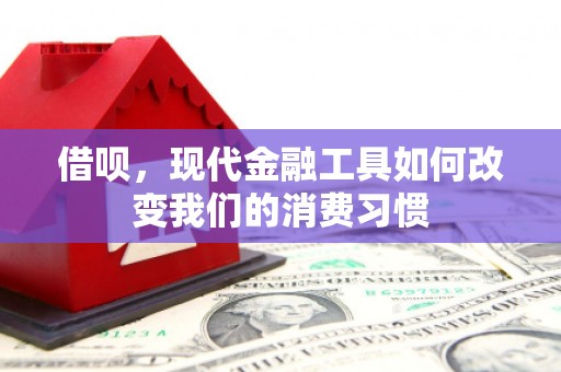 泰顺借呗，现代金融工具如何改变我们的消费习惯
