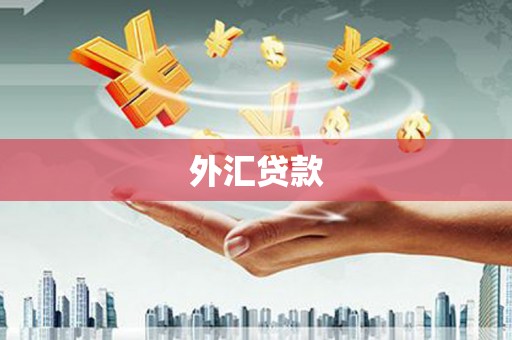泰顺外汇贷款
