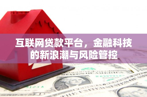 泰顺互联网贷款平台，金融科技的新浪潮与风险管控
