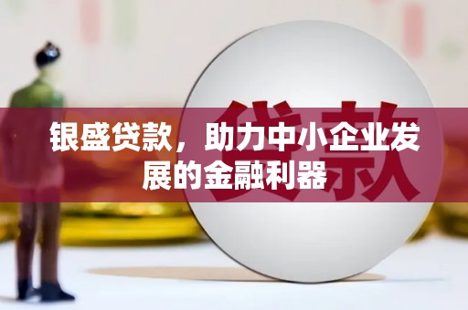 泰顺银盛贷款，助力中小企业发展的金融利器