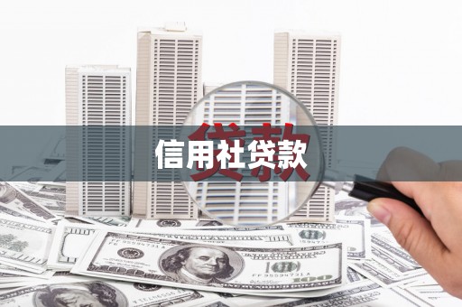 泰顺信用社贷款