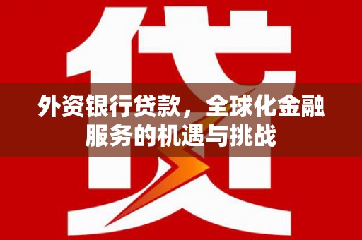 泰顺外资银行贷款，全球化金融服务的机遇与挑战