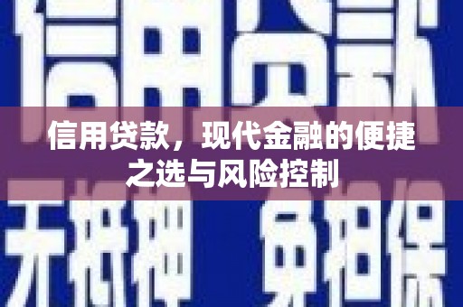 泰顺信用贷款，现代金融的便捷之选与风险控制