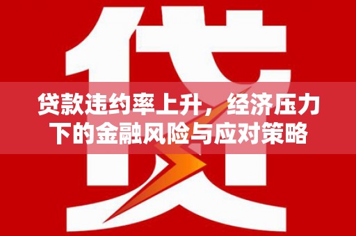 泰顺贷款违约率上升，经济压力下的金融风险与应对策略