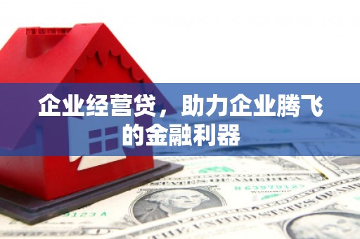 泰顺企业经营贷，助力企业腾飞的金融利器