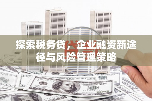 泰顺探索税务贷，企业融资新途径与风险管理策略