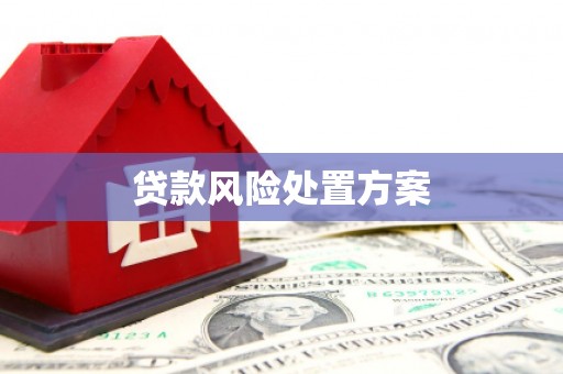 泰顺贷款风险处置方案