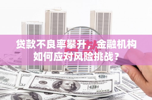 泰顺贷款不良率攀升，金融机构如何应对风险挑战？