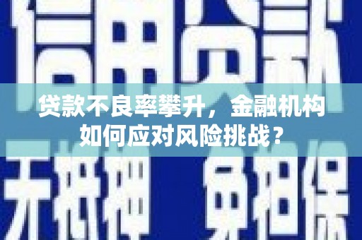 泰顺贷款不良率攀升，金融机构如何应对风险挑战？