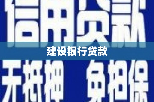 泰顺建设银行贷款