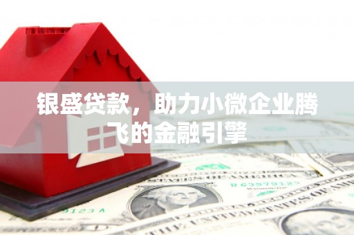 泰顺银盛贷款，助力小微企业腾飞的金融引擎