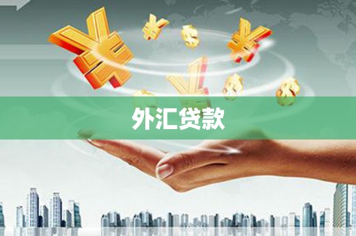 泰顺外汇贷款
