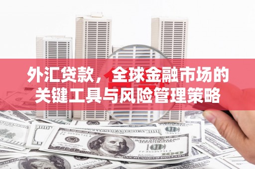 泰顺外汇贷款，全球金融市场的关键工具与风险管理策略