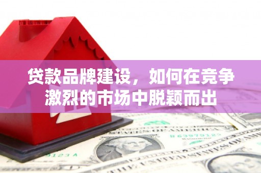 泰顺贷款品牌建设，如何在竞争激烈的市场中脱颖而出