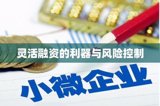 泰顺灵活融资的利器与风险控制