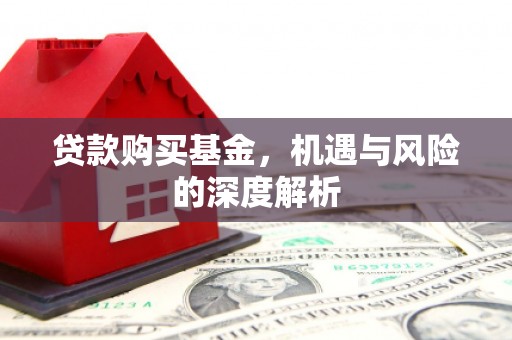 泰顺贷款购买基金，机遇与风险的深度解析