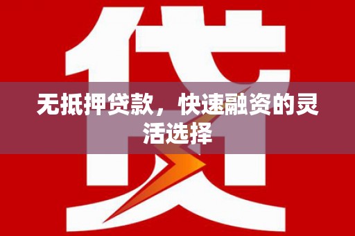 泰顺无抵押贷款，快速融资的灵活选择