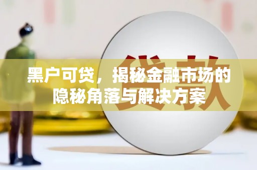 泰顺黑户可贷，揭秘金融市场的隐秘角落与解决方案