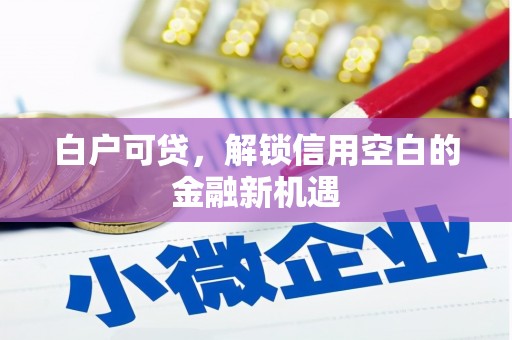 泰顺白户可贷，解锁信用空白的金融新机遇