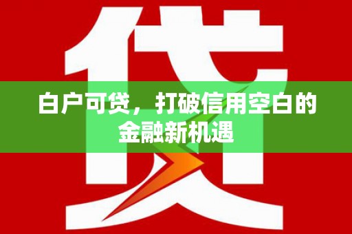 泰顺白户可贷，打破信用空白的金融新机遇