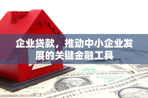 泰顺企业贷款，推动中小企业发展的关键金融工具