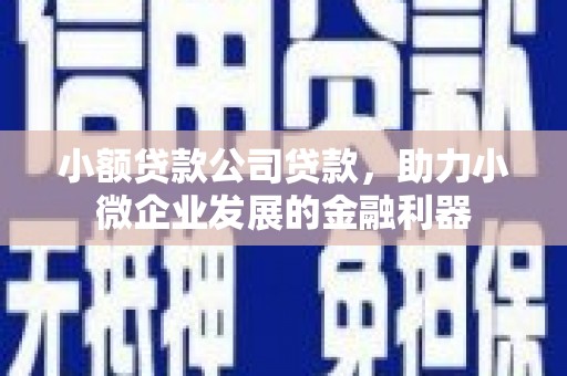 泰顺小额贷款公司贷款，助力小微企业发展的金融利器