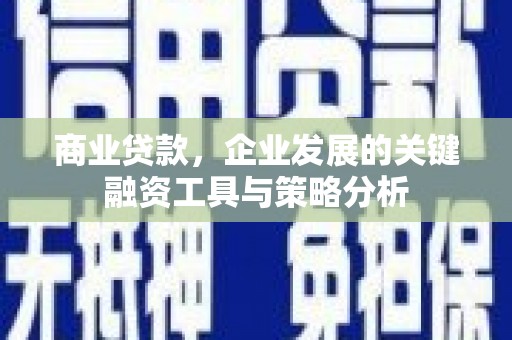 泰顺商业贷款，企业发展的关键融资工具与策略分析