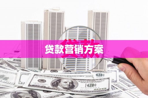 泰顺贷款营销方案