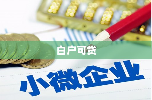 泰顺白户可贷