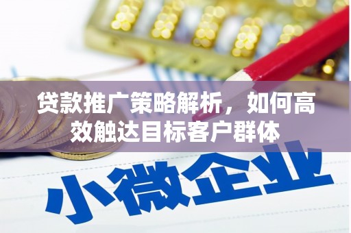 泰顺贷款推广策略解析，如何高效触达目标客户群体