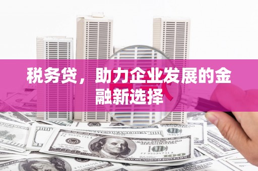 泰顺税务贷，助力企业发展的金融新选择