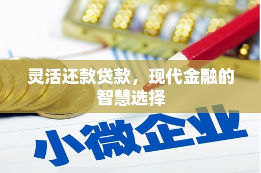 泰顺灵活还款贷款，现代金融的智慧选择