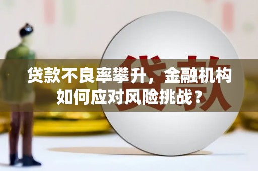 泰顺贷款不良率攀升，金融机构如何应对风险挑战？
