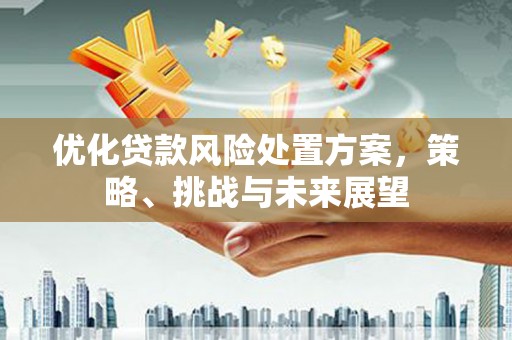 泰顺优化贷款风险处置方案，策略、挑战与未来展望