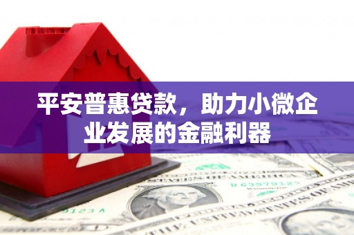 泰顺平安普惠贷款，助力小微企业发展的金融利器