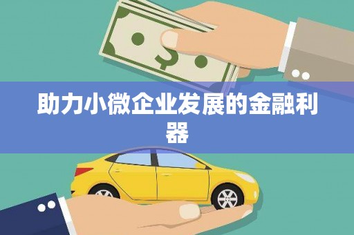 泰顺助力小微企业发展的金融利器