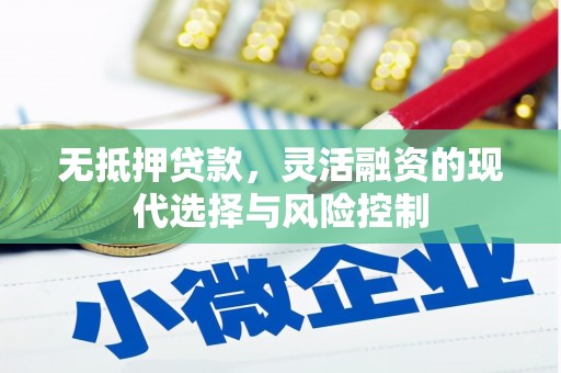 泰顺无抵押贷款，灵活融资的现代选择与风险控制