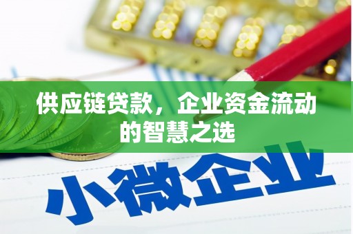 泰顺供应链贷款，企业资金流动的智慧之选