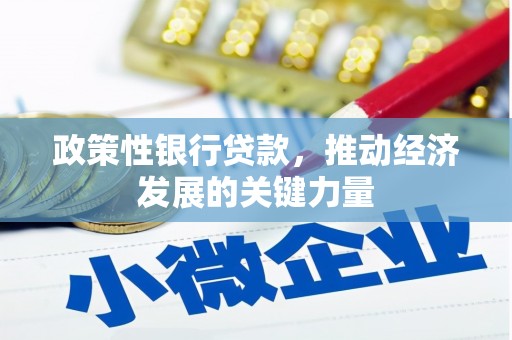 泰顺政策性银行贷款，推动经济发展的关键力量
