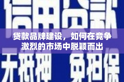 泰顺贷款品牌建设，如何在竞争激烈的市场中脱颖而出