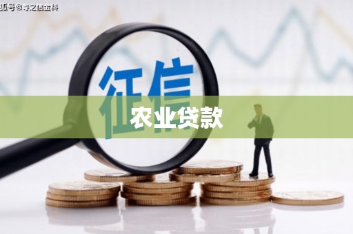 泰顺农业贷款