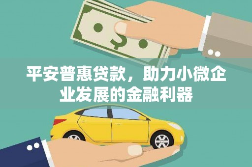 泰顺平安普惠贷款，助力小微企业发展的金融利器