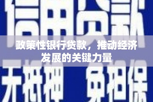 泰顺政策性银行贷款，推动经济发展的关键力量