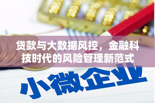 泰顺贷款与大数据风控，金融科技时代的风险管理新范式