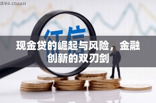 泰顺现金贷的崛起与风险，金融创新的双刃剑