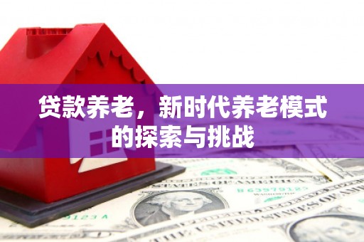 泰顺贷款养老，新时代养老模式的探索与挑战