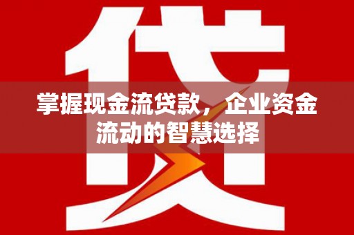 泰顺掌握现金流贷款，企业资金流动的智慧选择