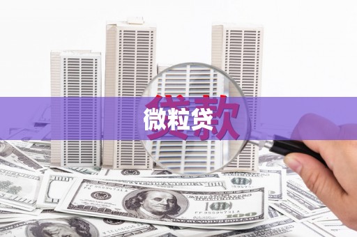 泰顺微粒贷