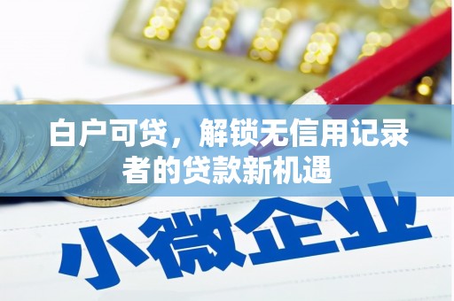 泰顺白户可贷，解锁无信用记录者的贷款新机遇