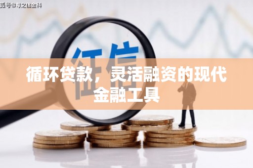 泰顺循环贷款，灵活融资的现代金融工具